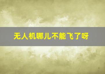 无人机哪儿不能飞了呀