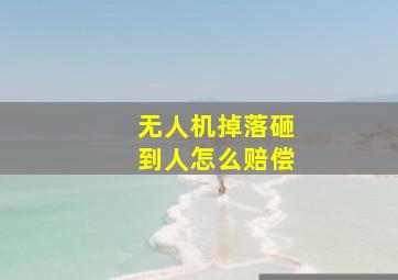 无人机掉落砸到人怎么赔偿