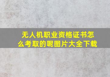 无人机职业资格证书怎么考取的呢图片大全下载