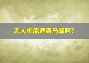 无人机能追到马蜂吗?