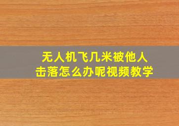 无人机飞几米被他人击落怎么办呢视频教学