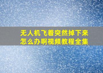 无人机飞着突然掉下来怎么办啊视频教程全集