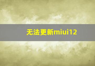 无法更新miui12