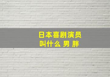 日本喜剧演员叫什么 男 胖