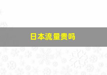 日本流量贵吗