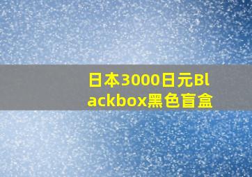 日本3000日元Blackbox黑色盲盒