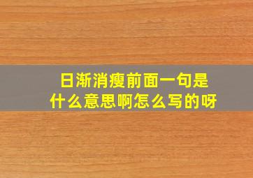 日渐消瘦前面一句是什么意思啊怎么写的呀