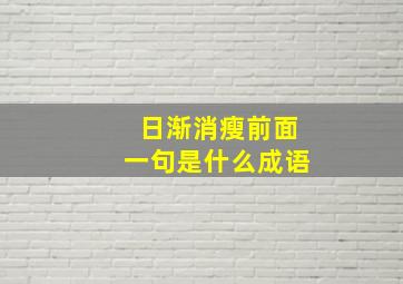 日渐消瘦前面一句是什么成语