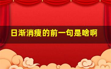 日渐消瘦的前一句是啥啊