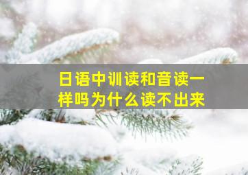 日语中训读和音读一样吗为什么读不出来