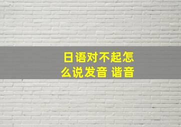 日语对不起怎么说发音 谐音