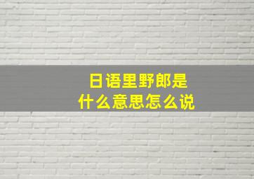 日语里野郎是什么意思怎么说