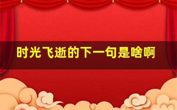 时光飞逝的下一句是啥啊