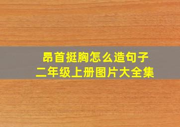 昂首挺胸怎么造句子二年级上册图片大全集