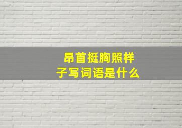 昂首挺胸照样子写词语是什么