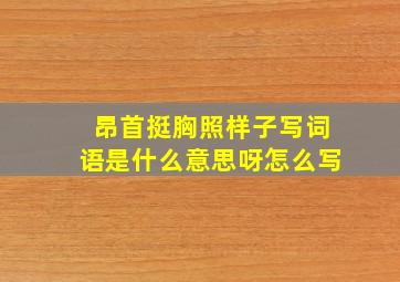 昂首挺胸照样子写词语是什么意思呀怎么写