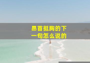 昂首挺胸的下一句怎么说的