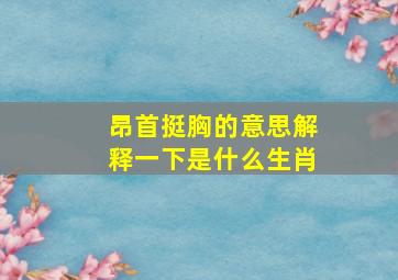 昂首挺胸的意思解释一下是什么生肖