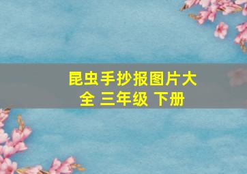 昆虫手抄报图片大全 三年级 下册