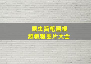 昆虫简笔画视频教程图片大全