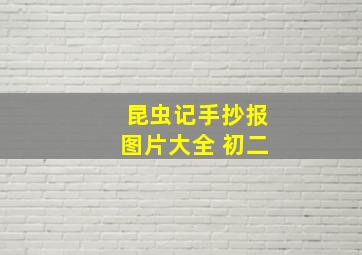 昆虫记手抄报图片大全 初二