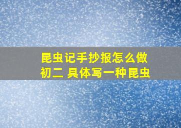 昆虫记手抄报怎么做 初二 具体写一种昆虫