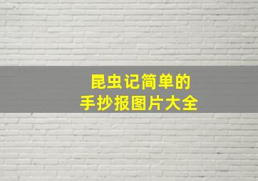 昆虫记简单的手抄报图片大全