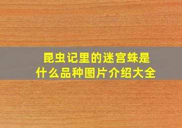 昆虫记里的迷宫蛛是什么品种图片介绍大全