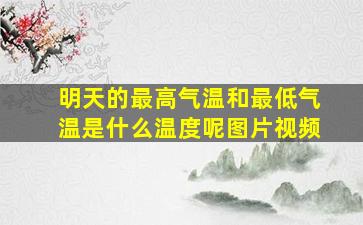 明天的最高气温和最低气温是什么温度呢图片视频