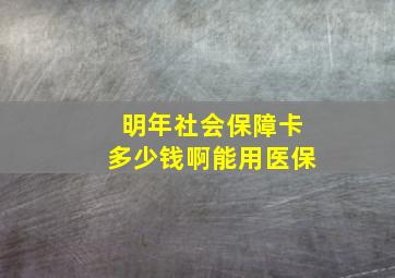 明年社会保障卡多少钱啊能用医保