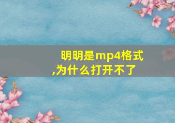 明明是mp4格式,为什么打开不了