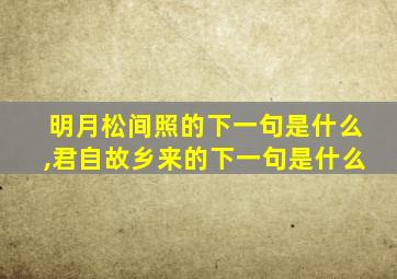 明月松间照的下一句是什么,君自故乡来的下一句是什么