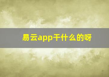 易云app干什么的呀