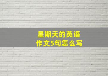 星期天的英语作文5句怎么写