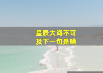 星辰大海不可及下一句是啥