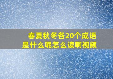 春夏秋冬各20个成语是什么呢怎么读啊视频