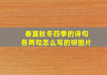 春夏秋冬四季的诗句各两句怎么写的呀图片