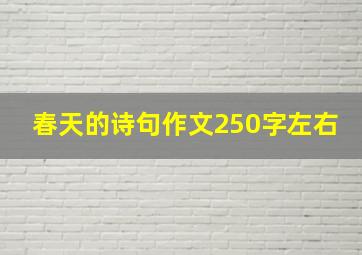 春天的诗句作文250字左右