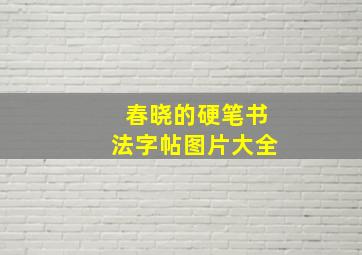 春晓的硬笔书法字帖图片大全