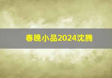 春晚小品2024沈腾