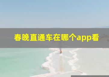 春晚直通车在哪个app看