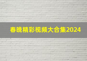 春晚精彩视频大合集2024