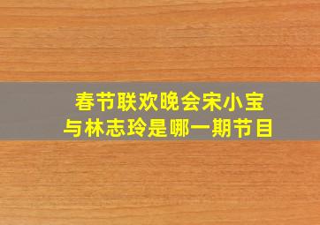 春节联欢晚会宋小宝与林志玲是哪一期节目