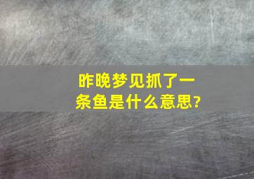 昨晚梦见抓了一条鱼是什么意思?