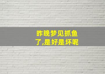 昨晚梦见抓鱼了,是好是坏呢