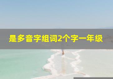 是多音字组词2个字一年级