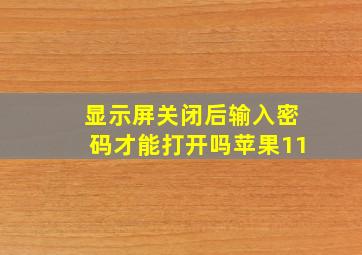 显示屏关闭后输入密码才能打开吗苹果11