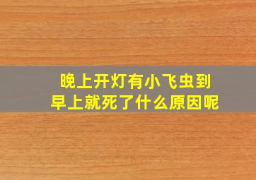 晚上开灯有小飞虫到早上就死了什么原因呢