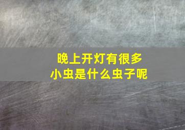 晚上开灯有很多小虫是什么虫子呢