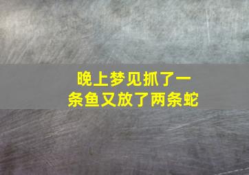 晚上梦见抓了一条鱼又放了两条蛇